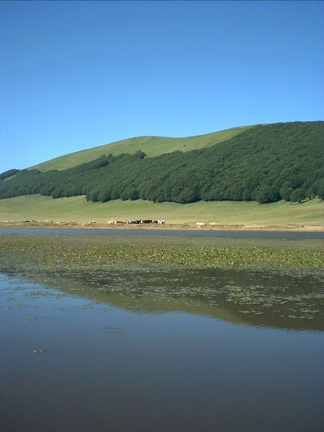 Laghi....delle MARCHE